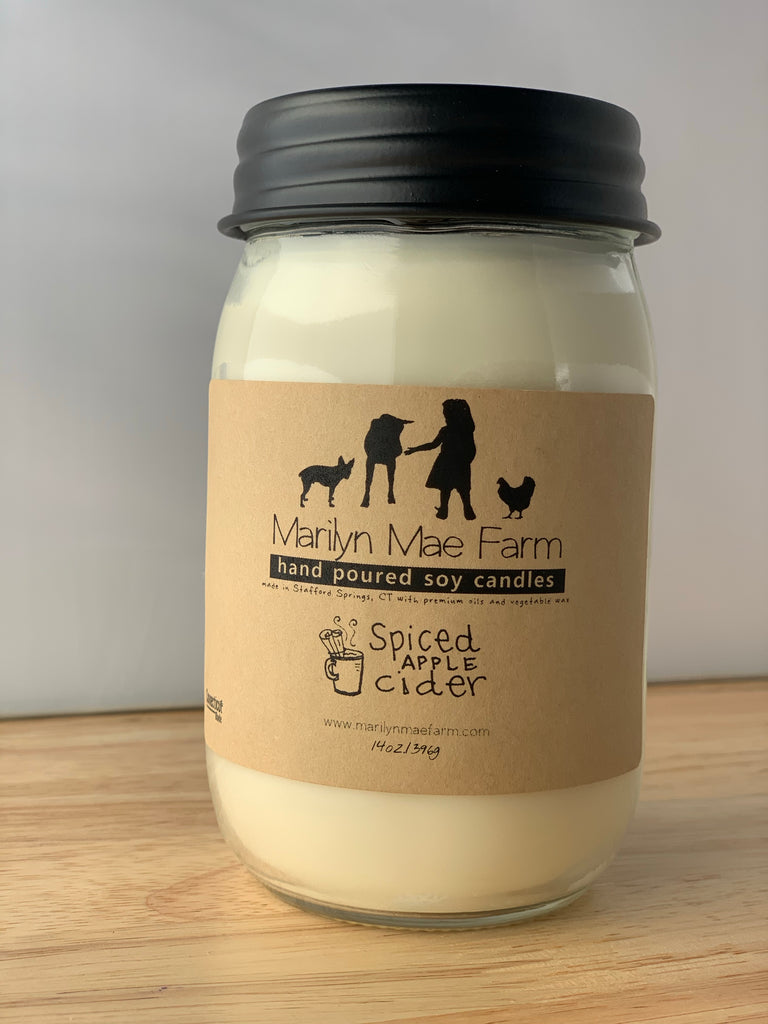 Spiced Apple Cider Soy Candle
