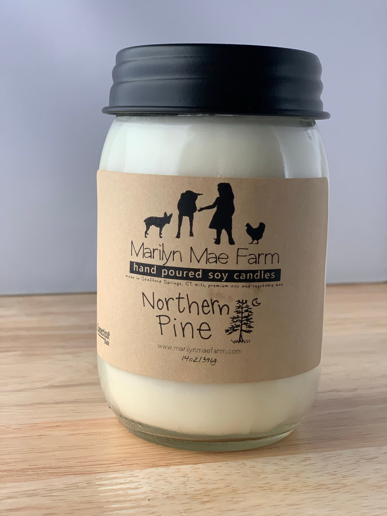 Northern Pine Soy Candle
