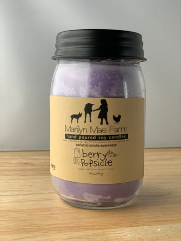 Berry Popsicle Soy Candle