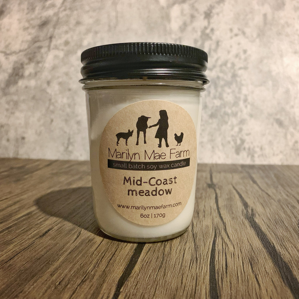 Mid-coast Meadow soy candle