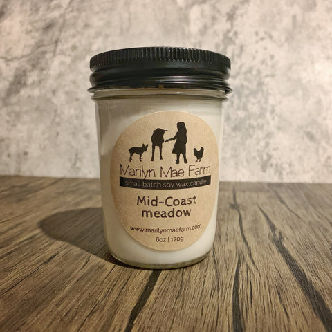 Mid-coast Meadow soy candle
