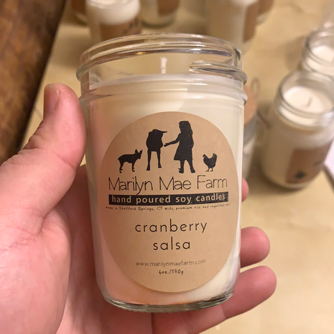 Cranberry Salsa Soy Candle