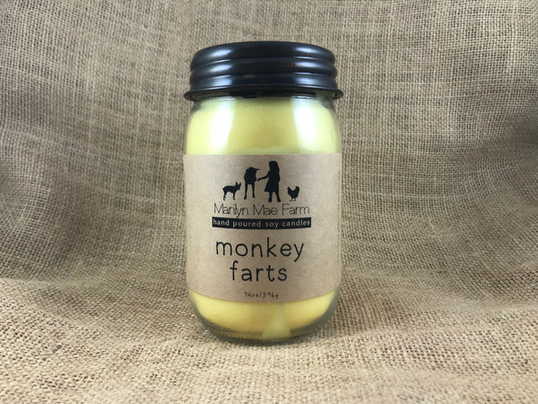 Monkey Farts Soy Candle